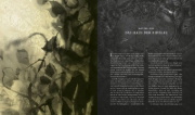 Buchcover und Innenansicht für das Buch: Harry Potter and the Goblet of Fire