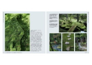 Buchcover und Innenansicht für das Buch: Japanese Zen Gardens