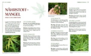 Buchcover und Innenansicht für das Buch: Cannabis-Anbau für Anfänger