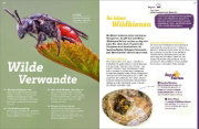 Buchcover und Innenansicht für das Buch: WAS IST WAS Bienen. Summende Genies