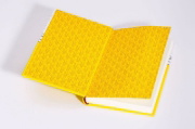 Buchcover und Innenansicht für das Buch: Alexander