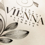 Buchcover und Innenansicht für das Buch: Vienna 1: Blinding Lights