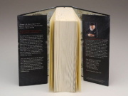 Buchcover und Innenansicht für das Buch: Fire & Blood Vol. 1: A History of House Targaryen of Westeros