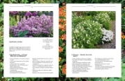 Buchcover und Innenansicht für das Buch: Verrückt nach Garten. Ideen und Erfahrungen kreativer Gärtner