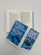 Buchcover und Innenansicht für das Buch: Palastplatte