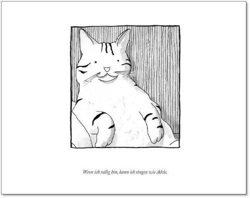 Buchcover und Innenansicht für das Buch: Catology - Inside the twisted mind of our feline friends