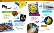 Buchcover und Innenansicht für das Buch: WAS IST WAS Band 41 Fische. Wunderwelt im Wasser