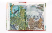 Buchcover und Innenansicht für das Buch: In 80 Pflanzen um die Welt
