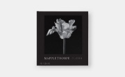 Buchcover und Innenansicht für das Buch: Mapplethorpe Flora