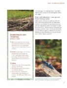 Buchcover und Innenansicht für das Buch: Let's go wild!