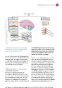 Buchcover und Innenansicht für das Buch: Medical Training: Neurozentriertes Training