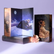 Buchcover und Innenansicht für das Buch: When Shadows Darken the Sun