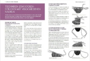 Buchcover und Innenansicht für das Buch: Socks from the toe up