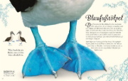 Buchcover und Innenansicht für das Buch: Wundervolle Welt der Vögel