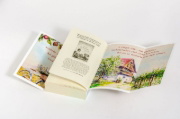 Buchcover und Innenansicht für das Buch: Heimatsommer