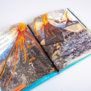 Buchcover und Innenansicht für das Buch: The story of life