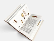 Buchcover und Innenansicht für das Buch: Ameisen