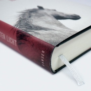 Buchcover und Innenansicht für das Buch: Im ersten Licht