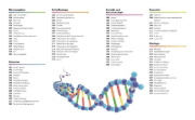Buchcover und Innenansicht für das Buch: Visuelles Wissen. Biologie