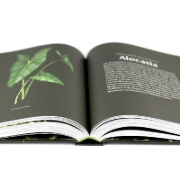 Buchcover und Innenansicht für das Buch: Plantopedia