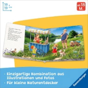 Buchcover und Innenansicht für das Buch: Entdecke den Sommer mit Lotta