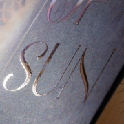Buchcover und Innenansicht für das Buch: These Hollow Vows