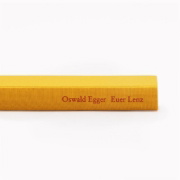 Buchcover und Innenansicht für das Buch: Euer Lenz