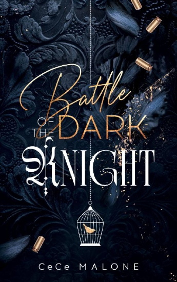 Buchcover und Innenansicht für das Buch: Battle of the dark Knight