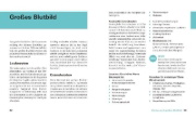 Buchcover und Innenansicht für das Buch: Meine Laborwerte