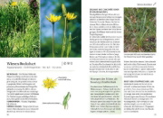 Buchcover und Innenansicht für das Buch: Unsere essbaren Wildpflanzen