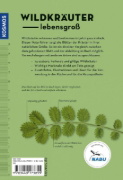 Buchcover und Innenansicht für das Buch: Wildkräuter am Blatt erkennen