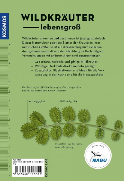Buchcover und Innenansicht für das Buch: Wildkräuter am Blatt erkennen