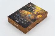 Buchcover und Innenansicht für das Buch: The Path of Light Oracle