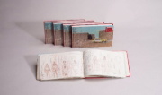 Buchcover und Innenansicht für das Buch: Francis Alÿs