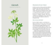Buchcover und Innenansicht für das Buch: Köstliches Unkraut