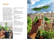 Buchcover und Innenansicht für das Buch: Mein Permakultur-Balkon