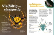 Buchcover und Innenansicht für das Buch: WAS IST WAS Spinnen. Akrobaten auf acht Beinen