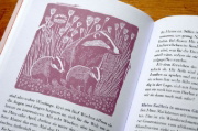 Buchcover und Innenansicht für das Buch: Schreibers Naturarium