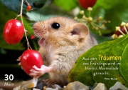 Buchcover und Innenansicht für das Buch: 365 mal tierisch gut drauf!