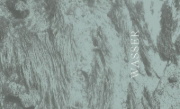 Buchcover und Innenansicht für das Buch: Wilder Wald