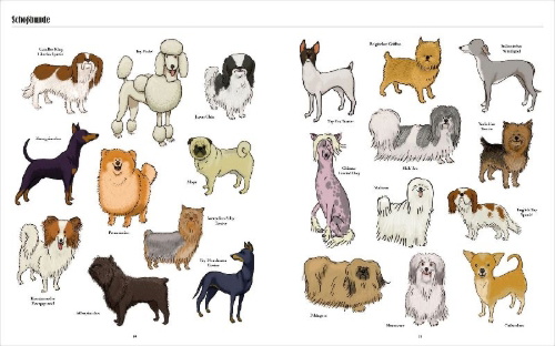 Buchcover und Innenansicht für das Buch: Big Dogs, Little Dogs