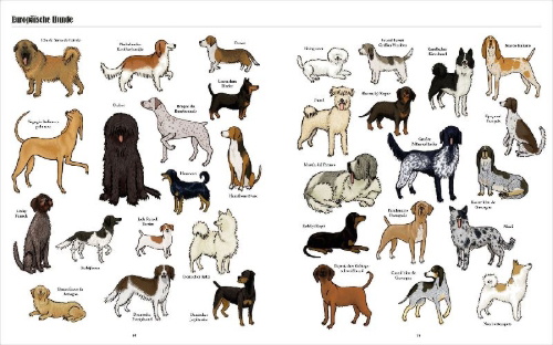 Buchcover und Innenansicht für das Buch: Big Dogs, Little Dogs