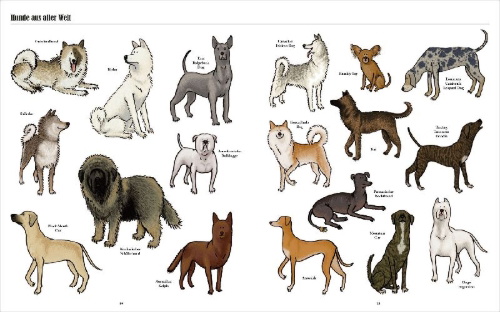 Buchcover und Innenansicht für das Buch: Big Dogs, Little Dogs