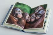 Buchcover und Innenansicht für das Buch: Mission Erde - Die Welt ist es wert, um sie zu kämpfen