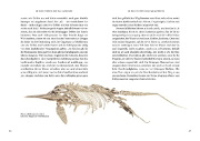 Buchcover und Innenansicht für das Buch: Das große Buch der Evolution