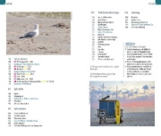 Buchcover und Innenansicht für das Buch: Reise Know-How InselTrip Sylt