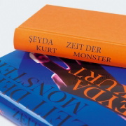 Buchcover und Innenansicht für das Buch: Zeit der Monster