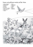 Buchcover und Innenansicht für das Buch: Nahrungsnetze für Artenvielfalt