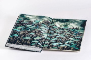 Buchcover und Innenansicht für das Buch: Wild Ocean