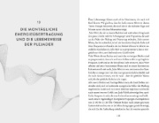 Buchcover und Innenansicht für das Buch: Plejadische Intelligenz